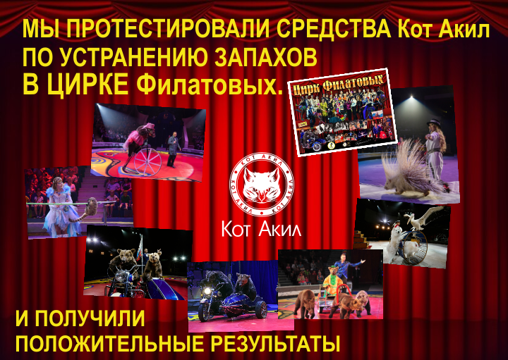 главная
