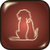 главная