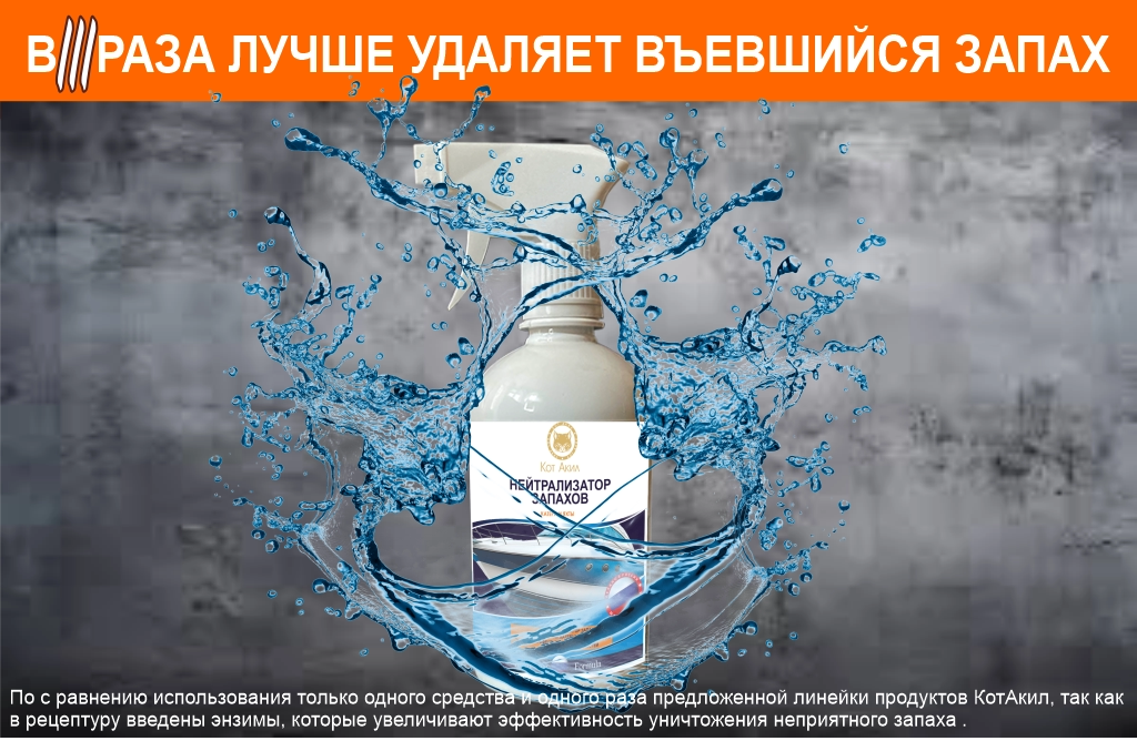Запах в катере, лодке, яхте Запах в катере, лодке, яхте